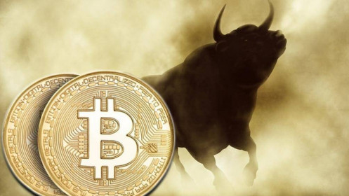 Bitcoin tăng mạnh khiến thị trường cryto cũng đồng loạt tăng giá
