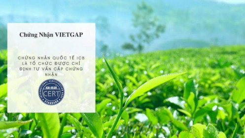 Tràn lan dịch vụ cung cấp chứng nhận VietGAP với mức phí chỉ 8 triệu đồng/năm