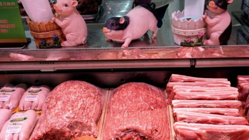 Trung Quốc nâng cảnh báo vì giá thịt lợn tăng vọt