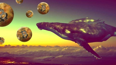 Bitcoin 'cổ xưa' liên tục thức giấc