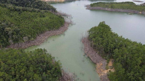 Một cổ phiếu thủy điện rất 'hot' thời gian gần đây tích nước làm chết hàng chục hecta rừng