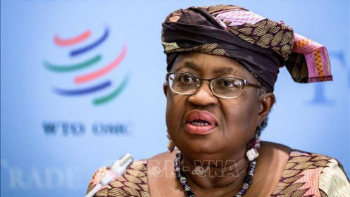 Tổng Giám đốc WTO khẳng định an ninh lương thực là vấn đề ưu tiên hàng đầu