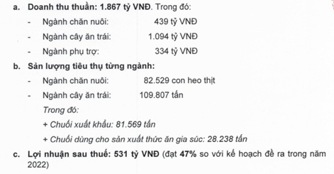 HAG vùng dậy?