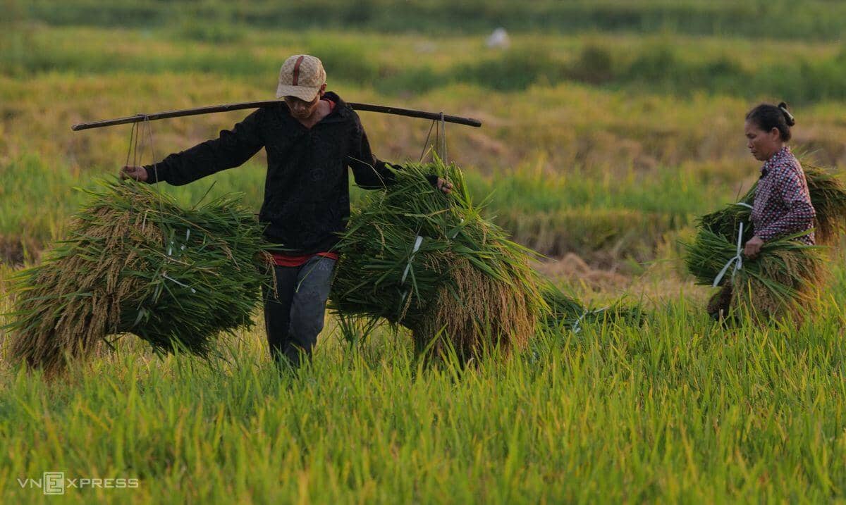 Nửa năm nền kinh tế tìm điểm cân bằng