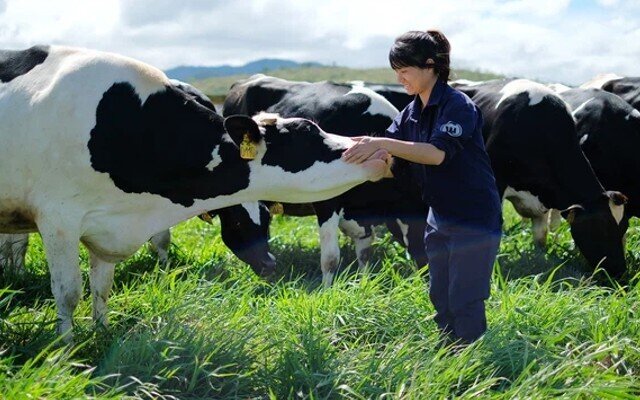 Cuộc đua thâu tóm doanh nghiệp ngành sữa đang nóng trở lại?