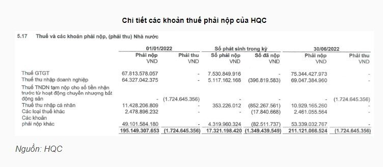 HQC đề nghị cấn trừ gần 123 tỷ đồng tiền thuế
