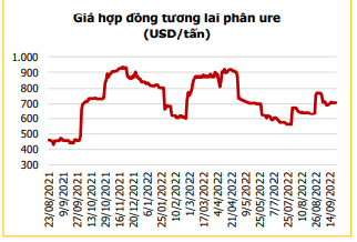 NGÀNH GẠO VÀ NHỮNG CƠ HỘI TIỀM NĂNG. Hưởng lợi từ các xu hướng trên thị trường quốc tế. Chỉ số giá lương  ...