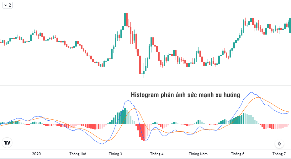 Hành trình F0 đến "cá mập": MACD là gì? Cách sử dụng MACD để giao dịch chuyên sâu và hiệu quả nhất!