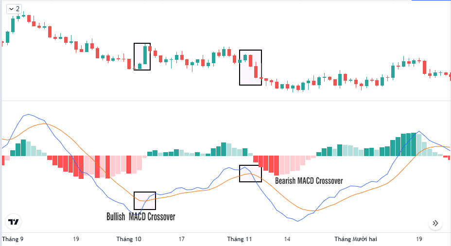 Hành trình F0 đến "cá mập": MACD là gì? Cách sử dụng MACD để giao dịch chuyên sâu và hiệu quả nhất!