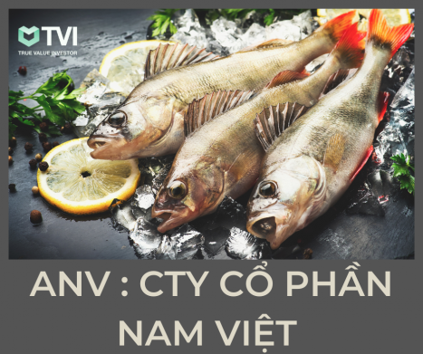 ANV : Công ty cổ phần NAM VIỆT