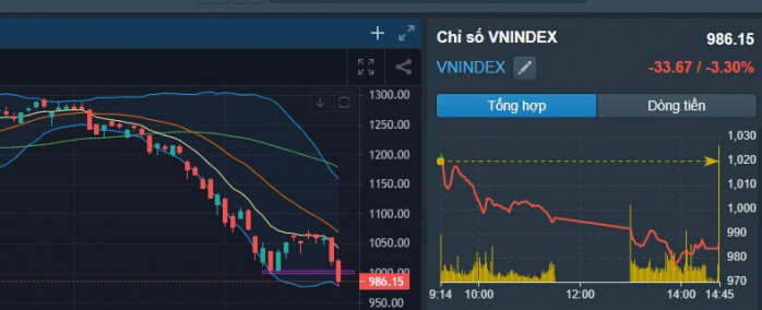 Chứng khoán 24/10/2022: Giảm mạnh tạo đáy, hàng loạt mã bịt sàn