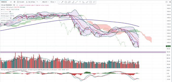 VNINDEX ngày 27/10 - Hàng về tài khoản - Test đáy thành công hay tìm vùng cân bằng 950