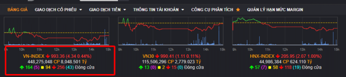 VNINDEX ngày 27/10 - Hàng về tài khoản - Test đáy thành công hay tìm vùng cân bằng 950