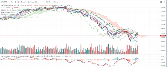 VNINDEX cực nóng 31/10 - VNINDEX và nhiều cổ phiếu chạm cản