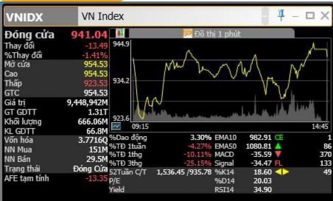 Nhật kí vnindex 14/11/2022: Sụt thủng kênh giá giảm