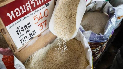 Thị trường gạo thế giới: Bấp bênh sau lệnh cấm xuất khẩu của Ấn Độ