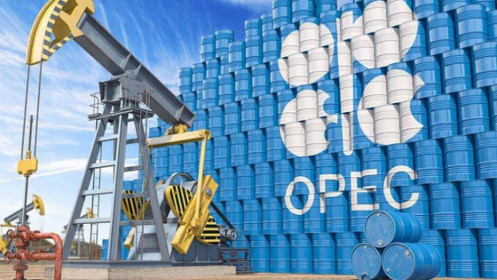 OPEC+ cân nhắc cắt giảm hơn 1 triệu thùng/ngày