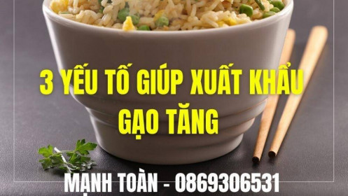 3 Yếu Tố giúp xuất khẩu gạo Việt Nam tiếp tục tăng