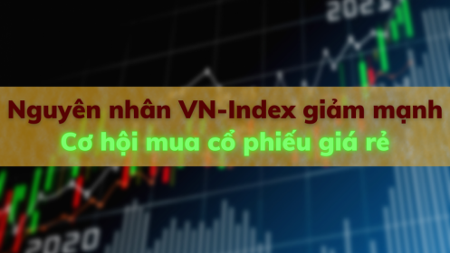 Nguyên nhân VN-Index giảm mạnh - Không một lực đỡ - Cơ hội mua cổ phiếu giá rẻ