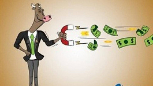 Nhịp đập Thị trường 05/10: Lấy lại mốc 1,100