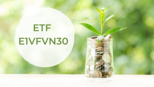 Quỹ ETF là gì? Đầu tư quỹ ETF E1VFVN30 của Dragon Capital như nào đơn giản mà lại có lời tốt ???