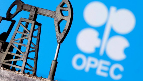Giải mã thất bại của Mỹ trong việc vận động OPEC+ không cắt giảm sản lượng dầu