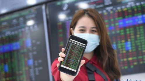 Hãy là nhà đầu tư khôn ngoan và phải là nhà đầu tư khôn ngoan