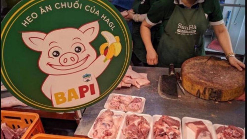 HAG và câu chuyện giảm Sàn ngày 12/10/2022