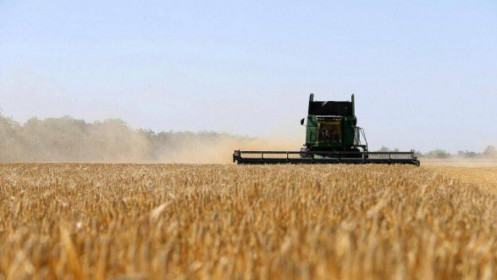 Nga nêu điều kiện gia hạn thỏa thuận ngũ cốc, khẳng định phụ thuộc vào phương Tây