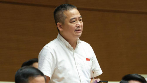 PGS Nguyễn Lân Hiếu: Việt Nam cần tuyên bố kết thúc đại dịch Covid-19