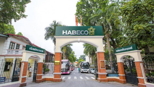 Thị trường hồi phục, Habeco lãi hơn 200 tỷ đồng trong quý 3
