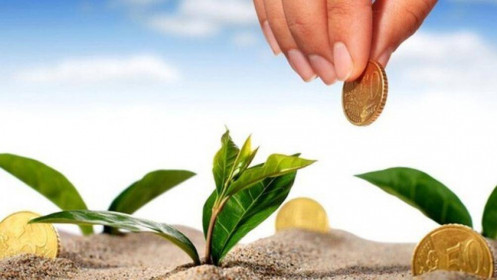 Ở Việt Nam hay ở nước ngoài dễ làm giàu hơn?