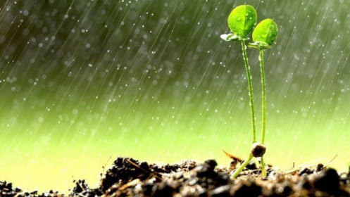 Chờ thị trường ''sau cơn mưa''...
