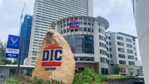 DIC Corp (DIG): Con gái Chủ tịch chỉ mua được lượng nhỏ số cp đã đăng ký