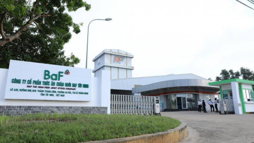 BAF chốt triển khai huy động 600 tỷ đồng trái phiếu chuyển đổi