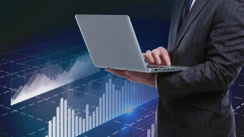 Cập nhật và phân tích thị trường 14.11 - 18.11