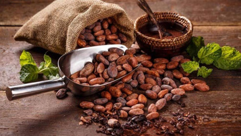 Nhận định hàng hóa năng lượng và nguyên liệu công nghiệp ngày 16/11/2022