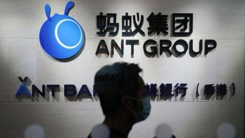 Lợi nhuận của Ant Group giảm 63% vì kế hoạch cải tổ