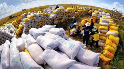 Gạo Việt liên tục đón tin vui, doanh nghiệp ngành gạo liệu có thắng lớn?