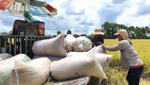 Bộ Công thương đề xuất quản lý "chặt" việc nhập khẩu gạo