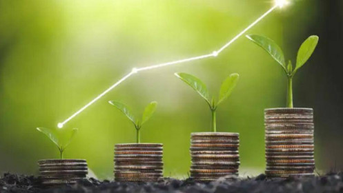 Đầu tư chứng khoán nên là một chặng đường dài