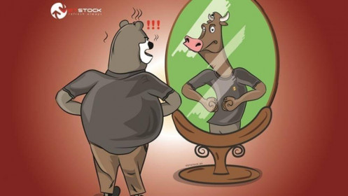 Nhịp đập Thị trường 23/11: Giằng co quanh tham chiếu