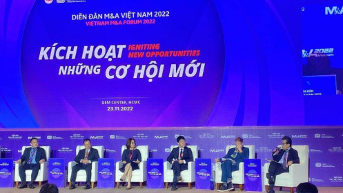 Năm 2022, tổng giá trị thương vụ M&A tại Việt Nam đạt 5,7 tỷ USD