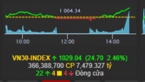 Thị trường ngày 30/11: VNindex phục hồi chữ V, mua bán như thế nào giai đoạn này?