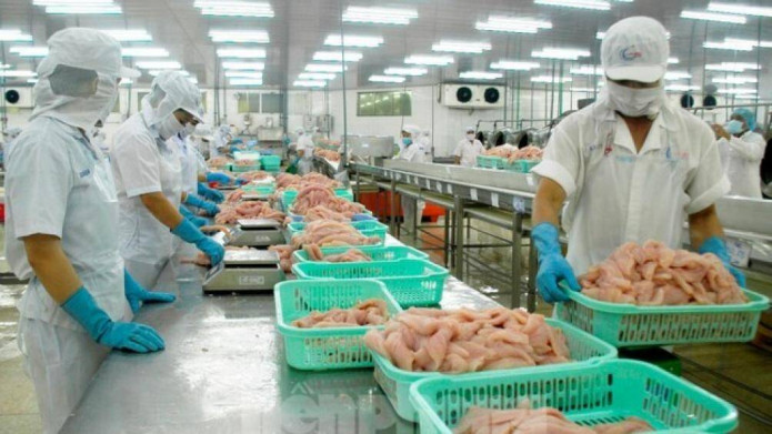 Vì sao xuất khẩu thủy sản đang tăng phi mã bất ngờ tuột dốc?