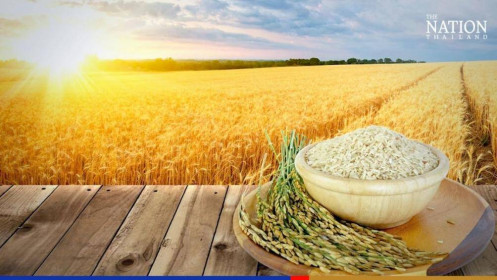 Thái Lan: Xuất khẩu gạo tăng 33% trong 10 tháng đầu năm 2022