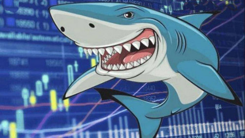 Nhờ thị trường tăng ngoạn mục, các "cá mập" đã bớt lỗ