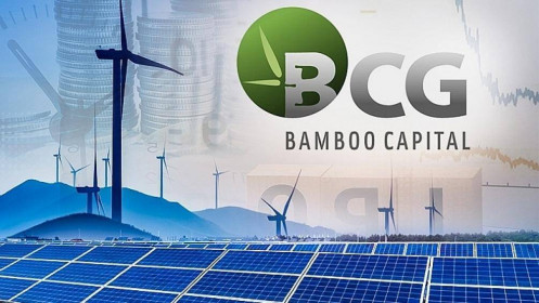 BCG rót thêm 500 tỷ đồng bổ sung vốn cho BCG Energy