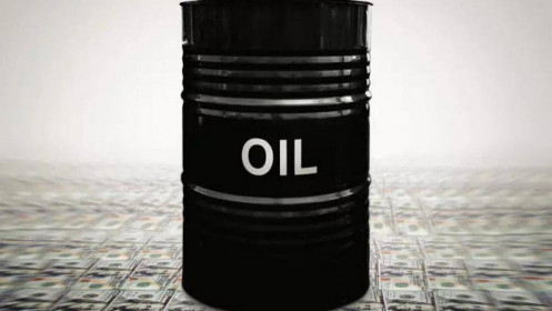 Nga phản ứng cực gắt trước lệnh áp giá trần dầu Nga của Phương Tây