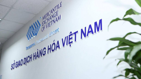 Bước đệm cho giao nhận hàng hóa thông qua Sở Giao dịch Hàng hóa Việt Nam